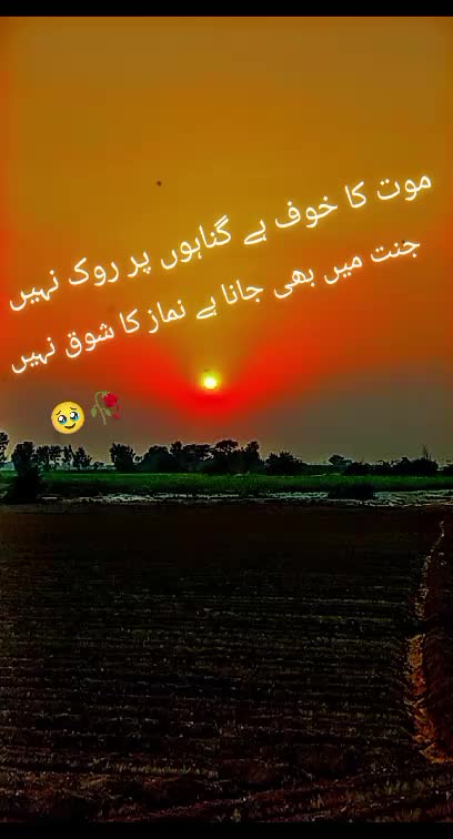 @♕♡⚘À𝖗ᾰ𝖎𝕟⚘♡♕