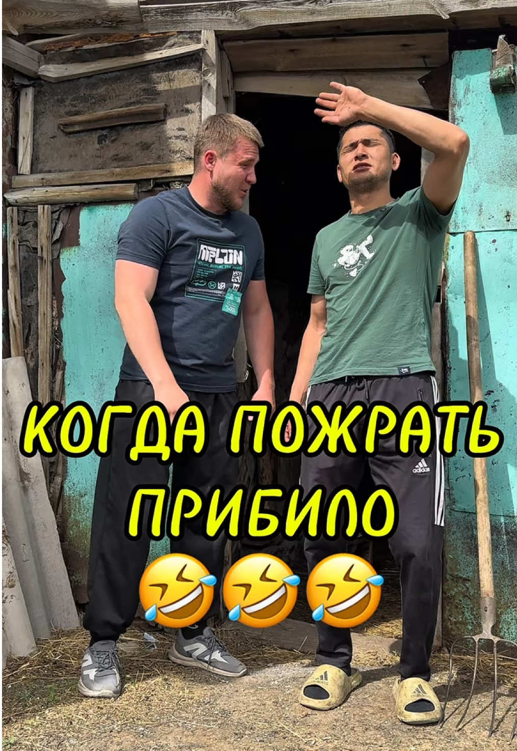 @koresha_official