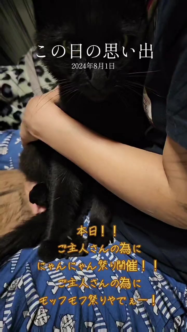 @黒猫の凱旋➿️