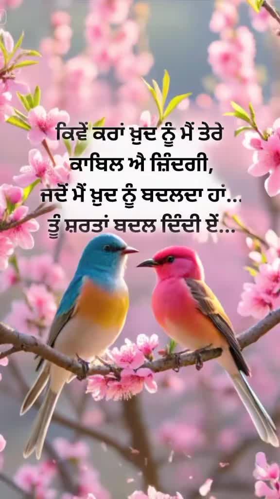 @Nagra PB 06
