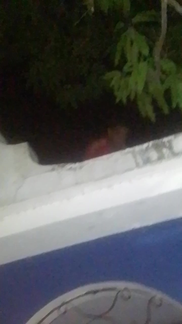 @Jesús m5 145