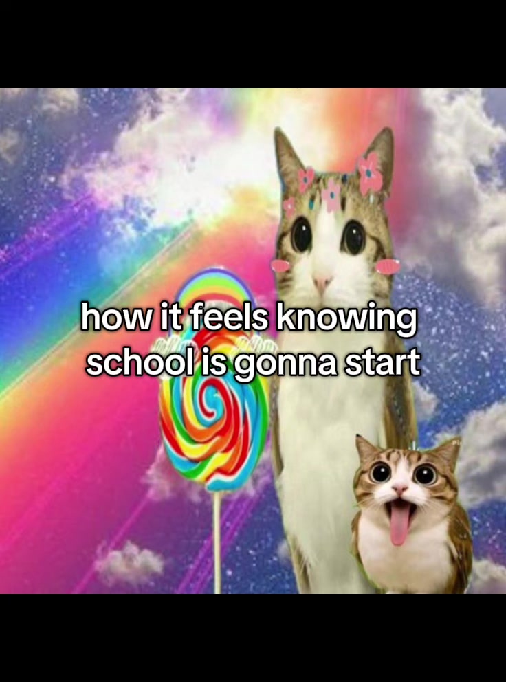 @munchkincatboy