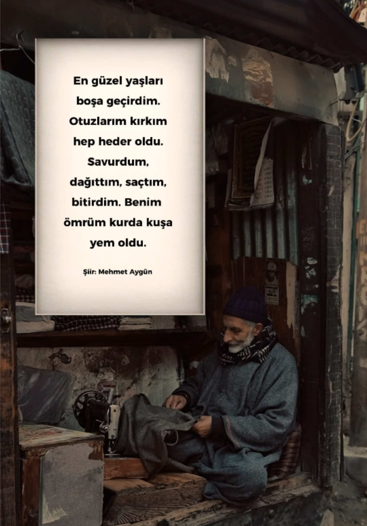 @Mehmet Aygün