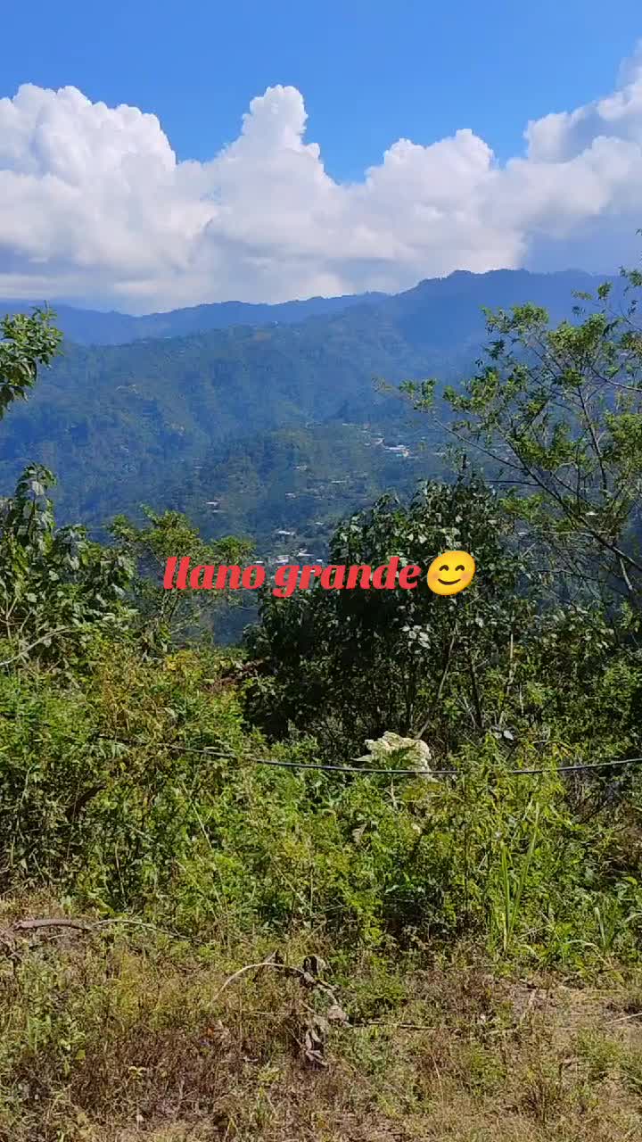 @damian217🇲🇽🇺🇸