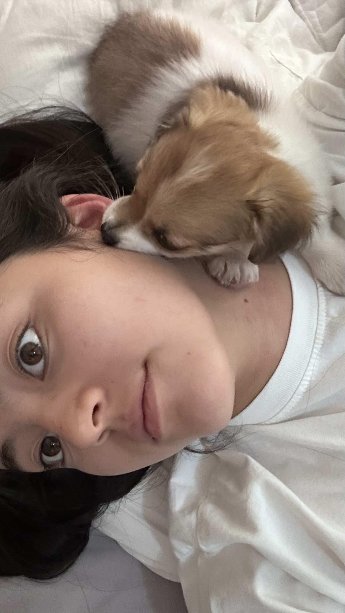 @Soy_Dome