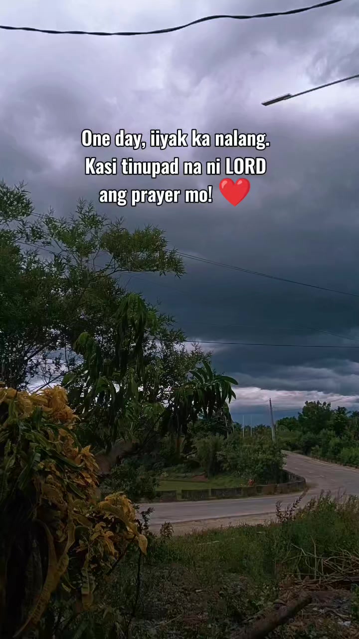 @Lieyvien🍁🇹🇼🫶🇵🇭