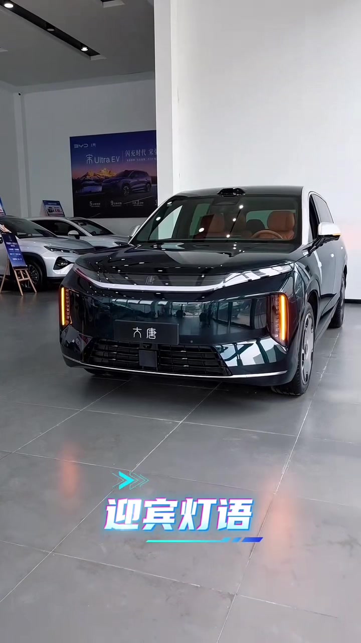 @China EV Export Cars Supplier