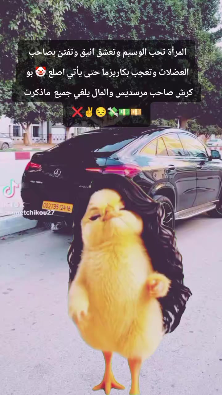 @العميد