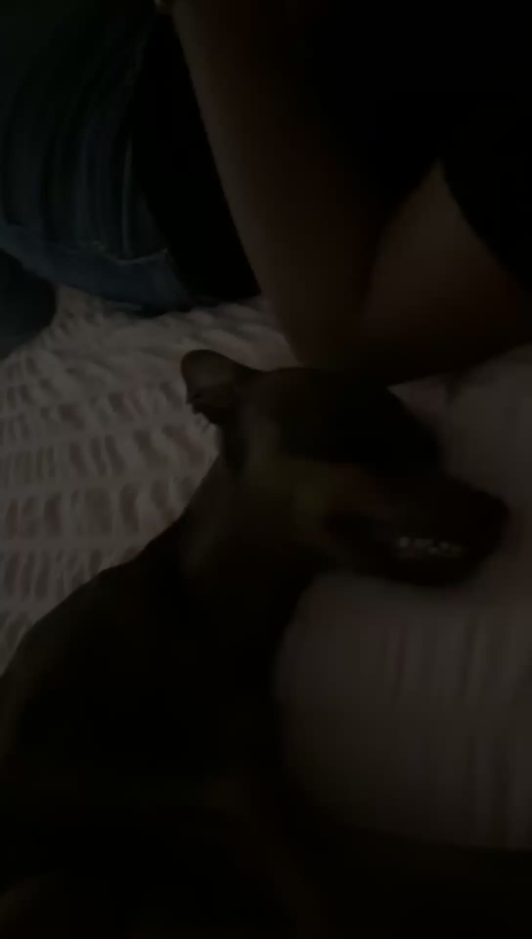 @anaaa