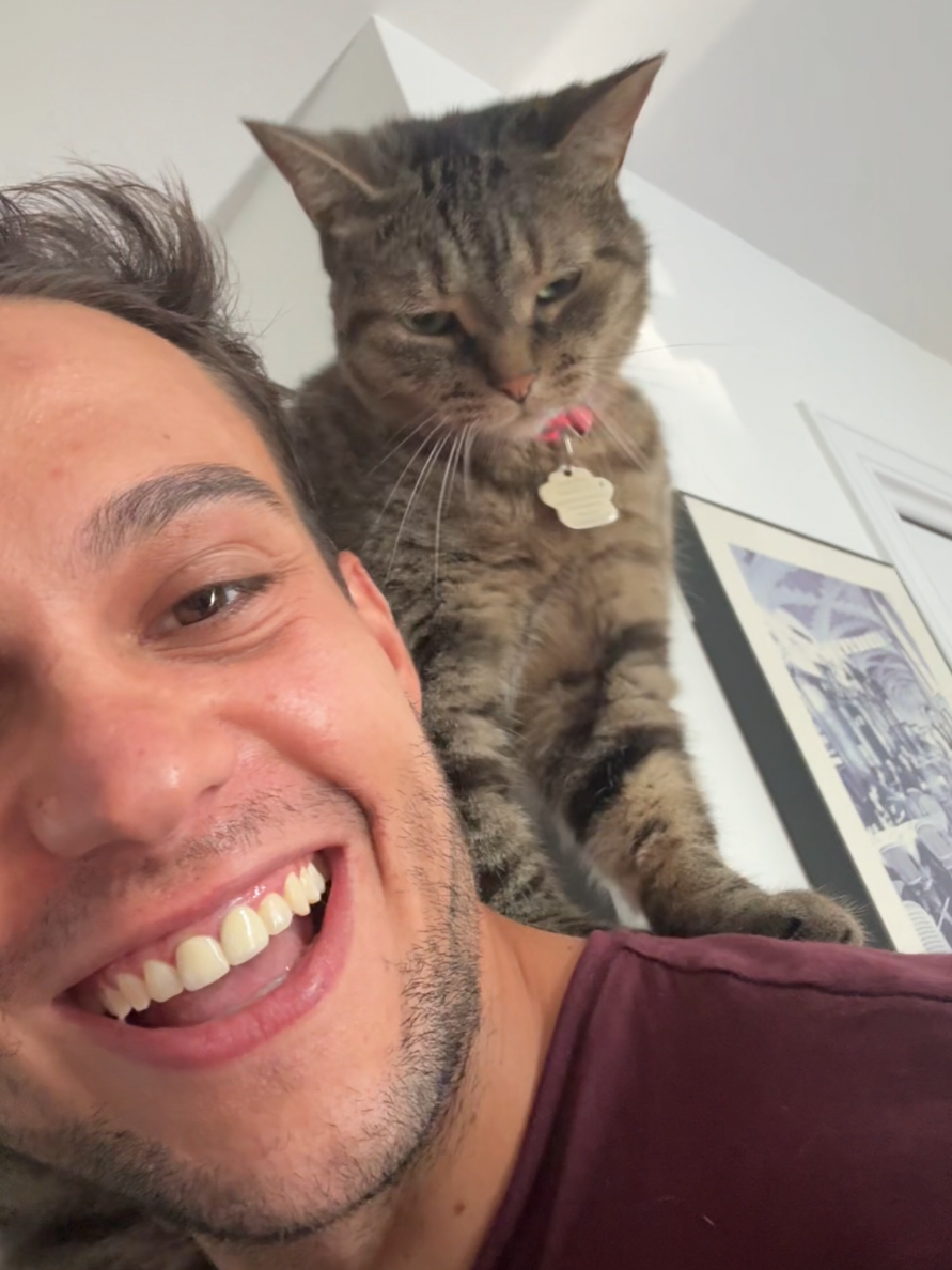 @Bellarda the cat
