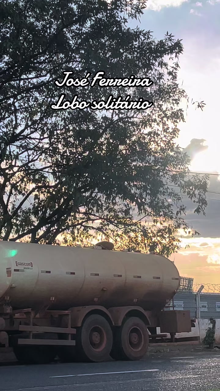 @joseferreiraferreira8