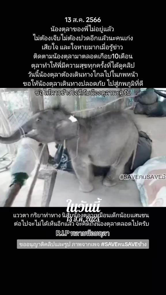 @𝗡𝗼𝗻𝗴𝗠𝗮𝗶
