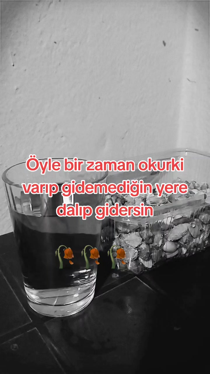 @kimsesiz216