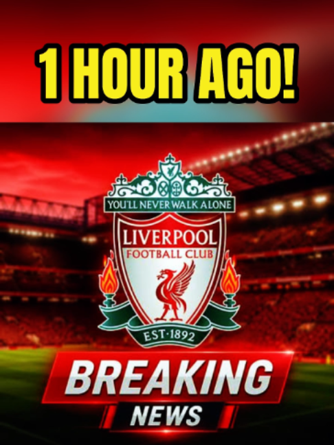 @Liverpool Daily News