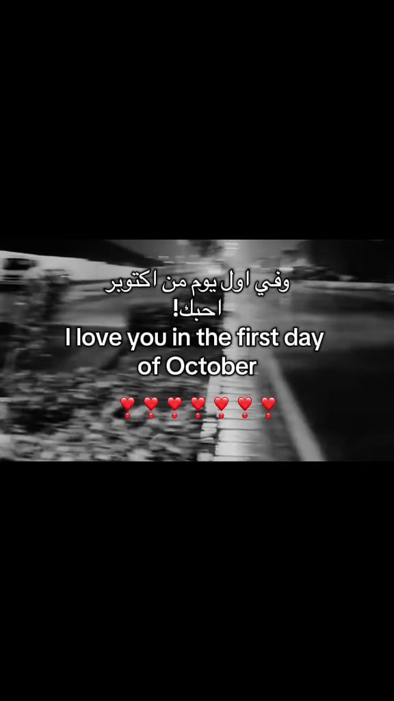 @تايقر- Tiger🌟