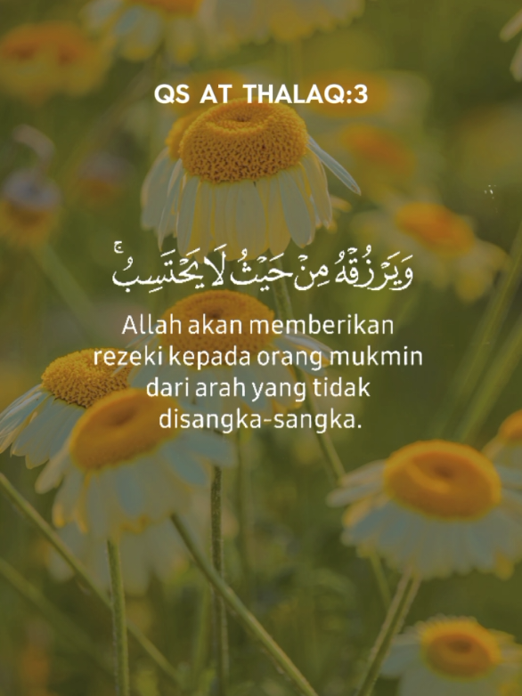 @Scorpio Berkah