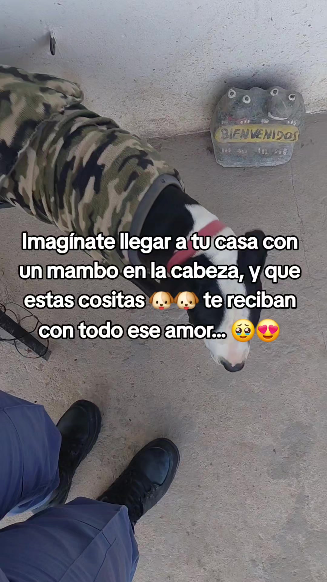 @vale