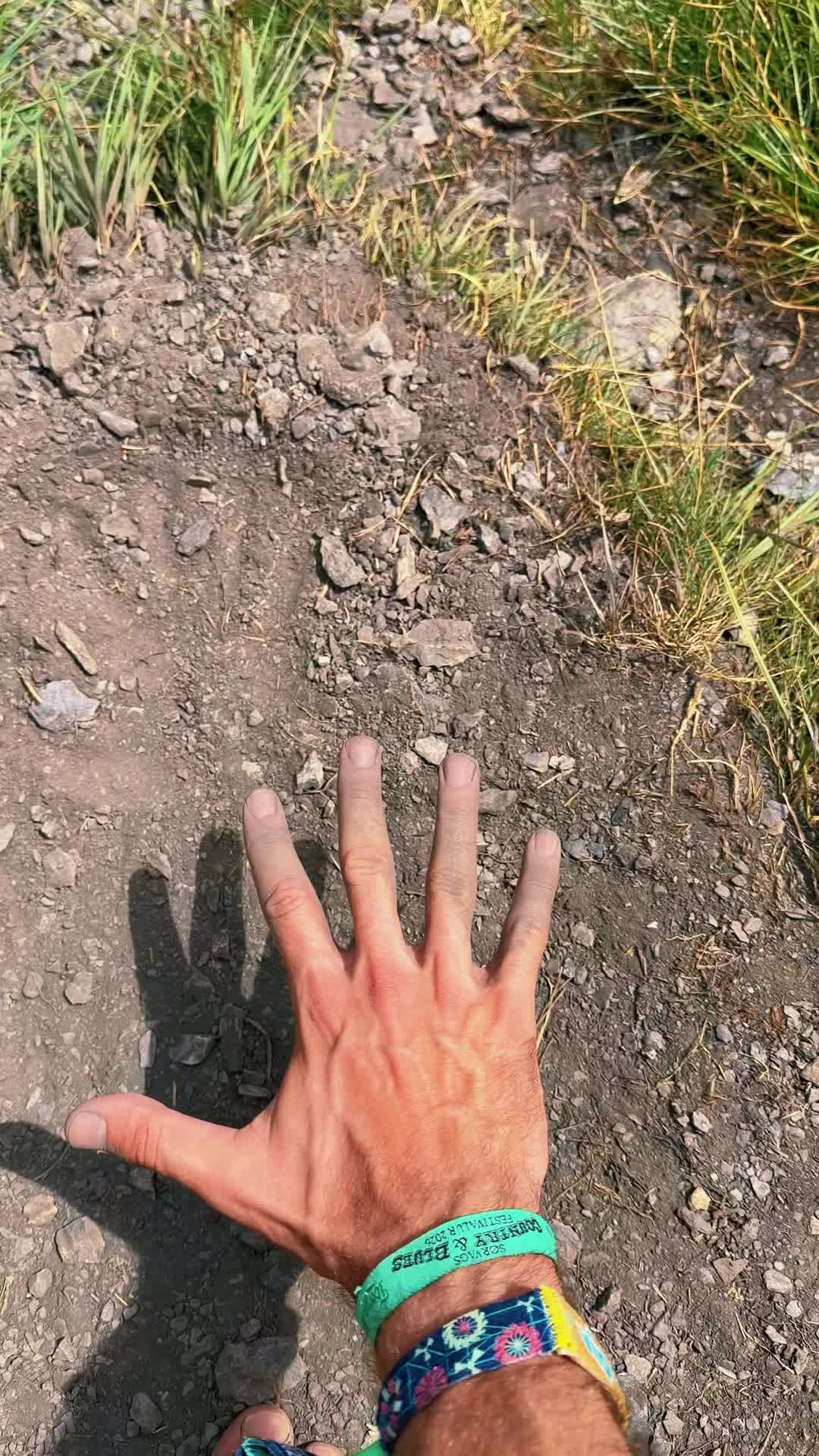 @mega