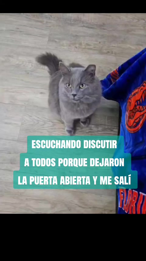 @Monica Paz Parada