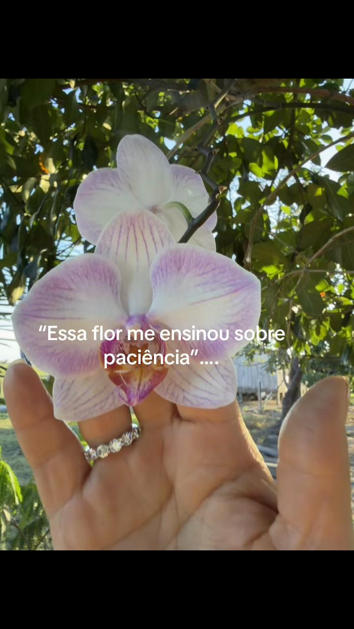 @Roseleide Vieira Lim