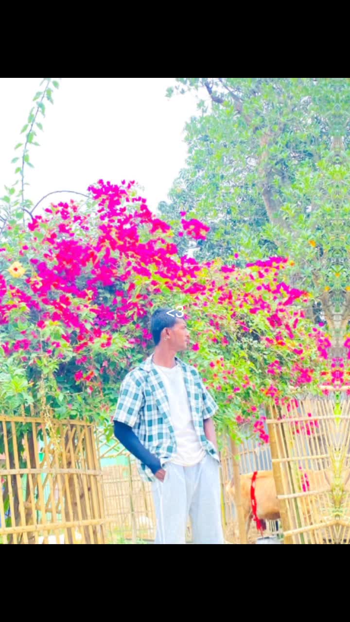 @๐๐ Cลyลtãล ๐๐ค