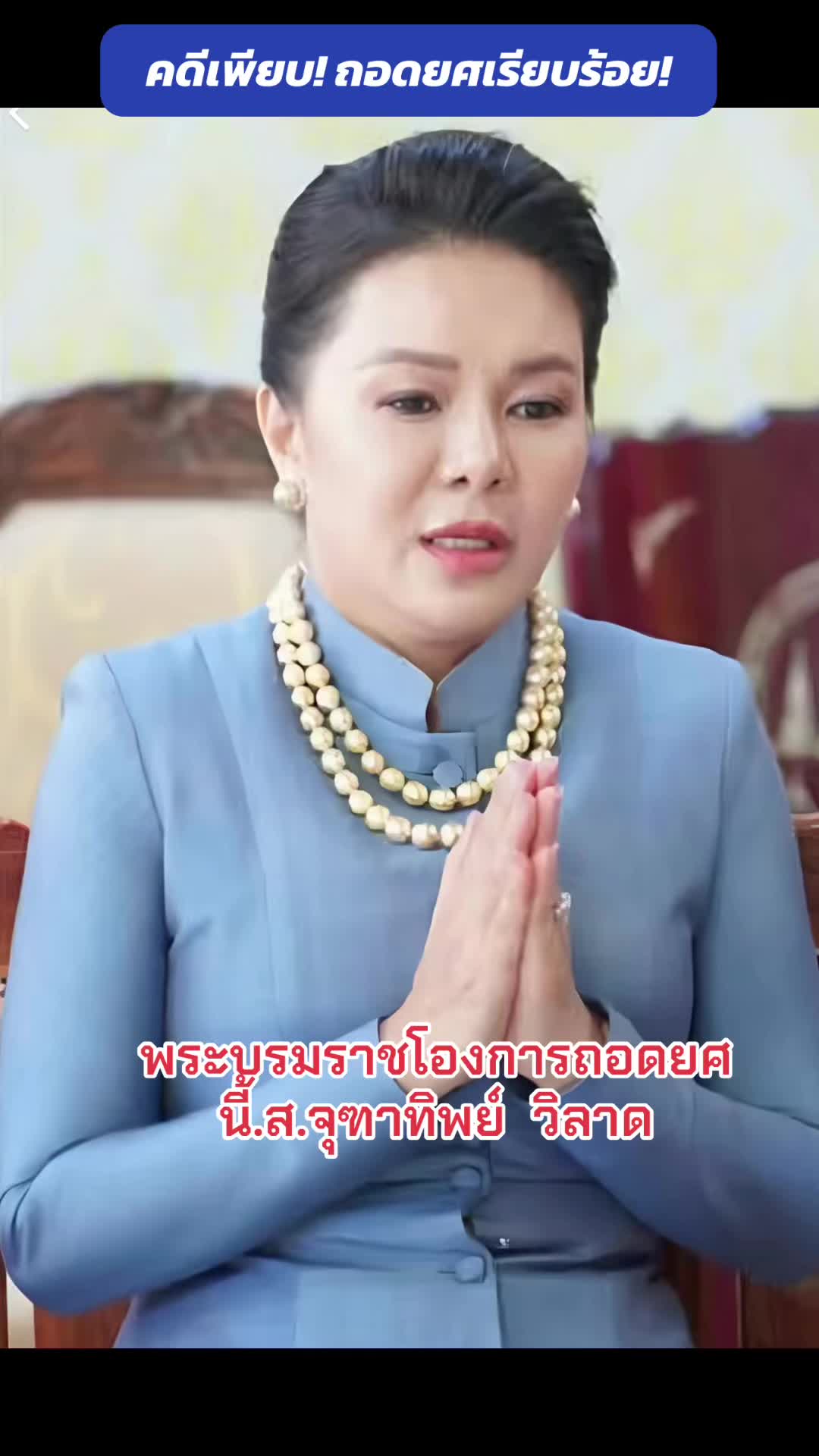 @ทาสแมว_News