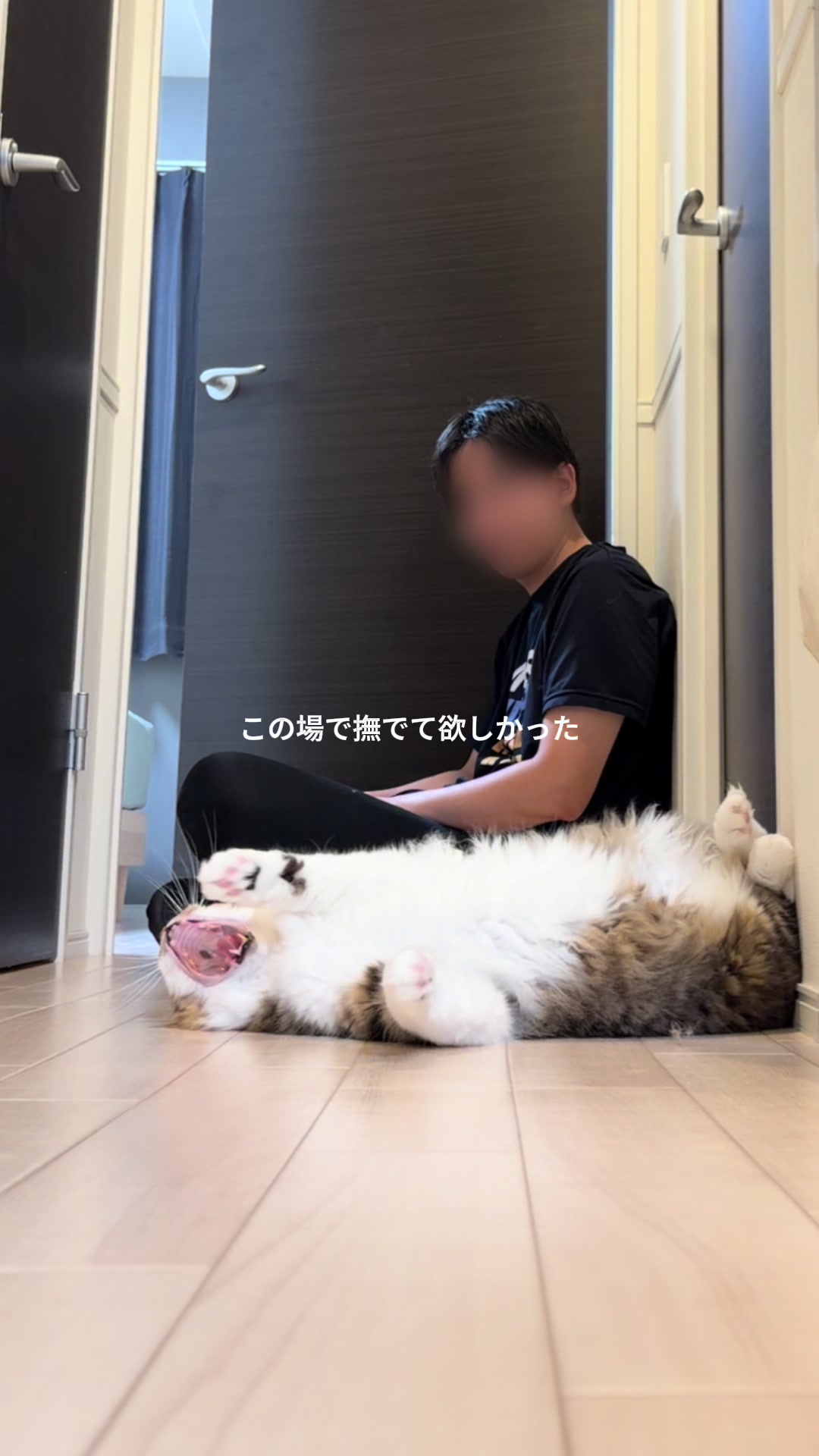 @ほたてくん
