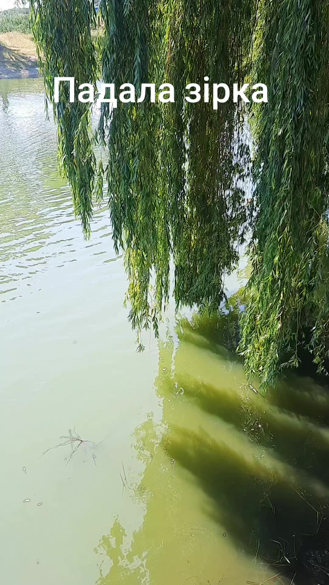 @Божена