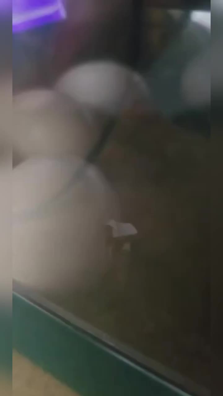 @Cyndeerella🇦🇺