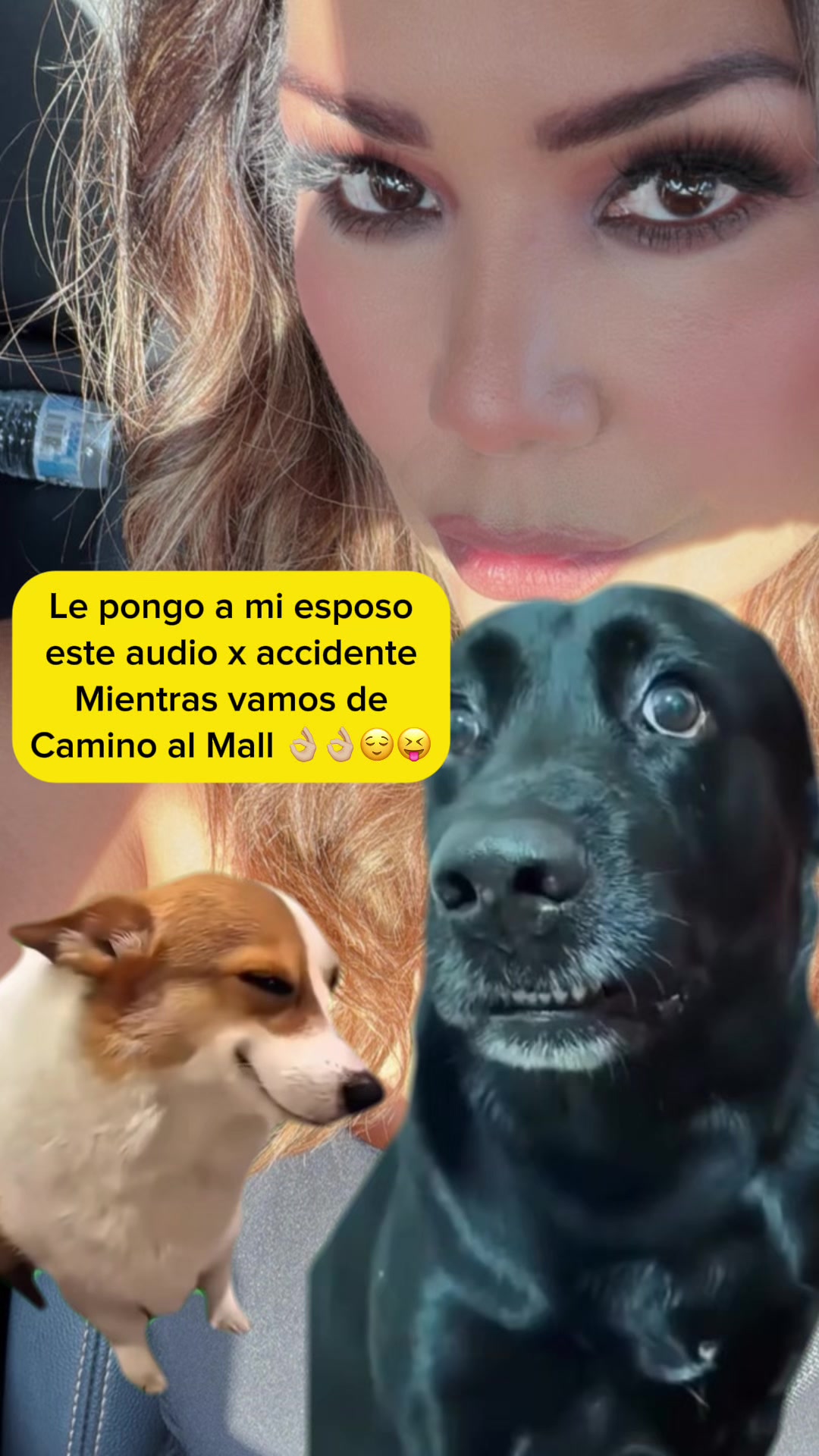 @L.N Ana Lau