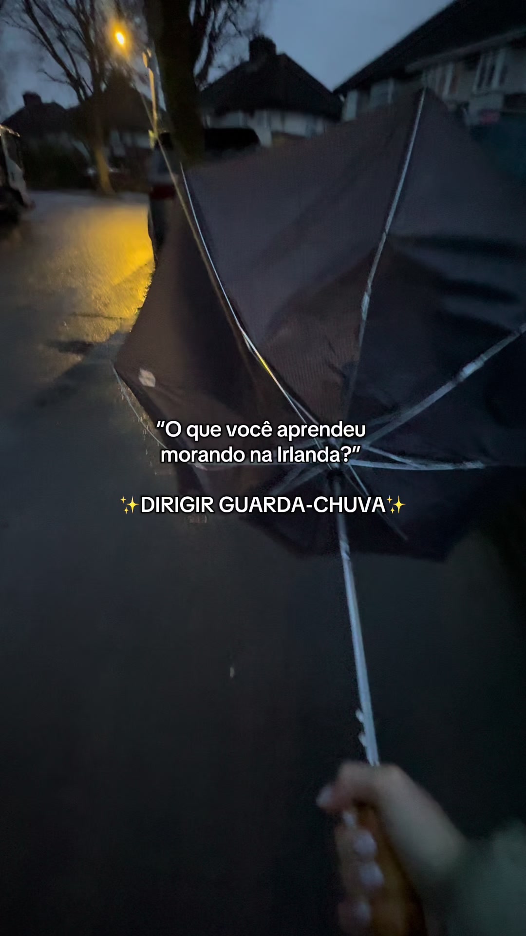 @Isabella Queiróz
