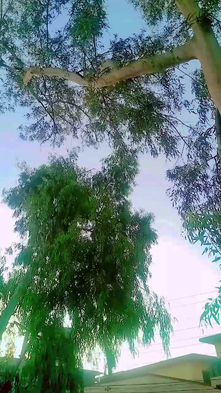 @Raja_kashi444