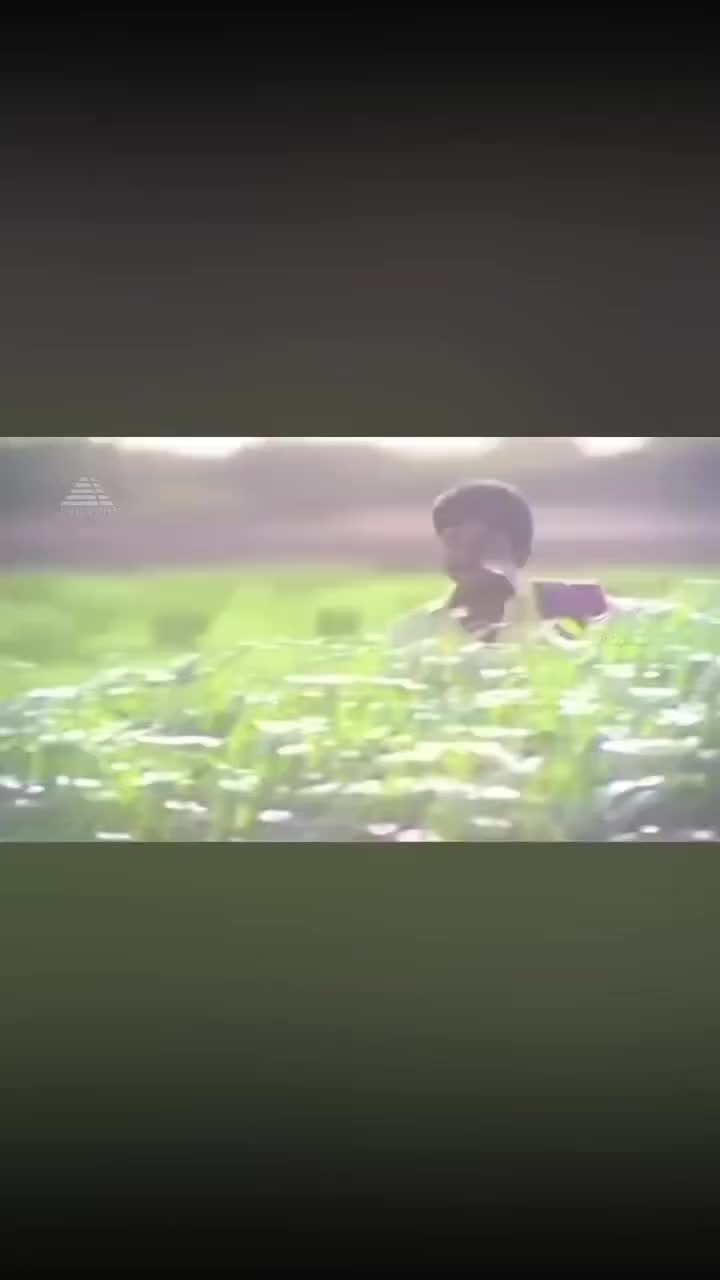 @💞Yamunadevi Jayabalan💞