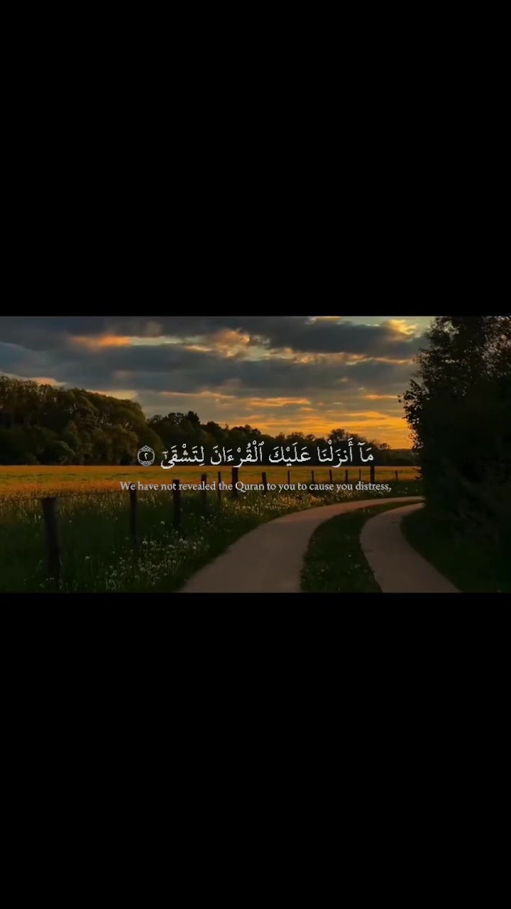 @x.tamr