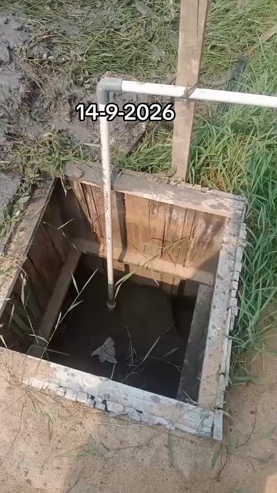 @dedekhimawari91