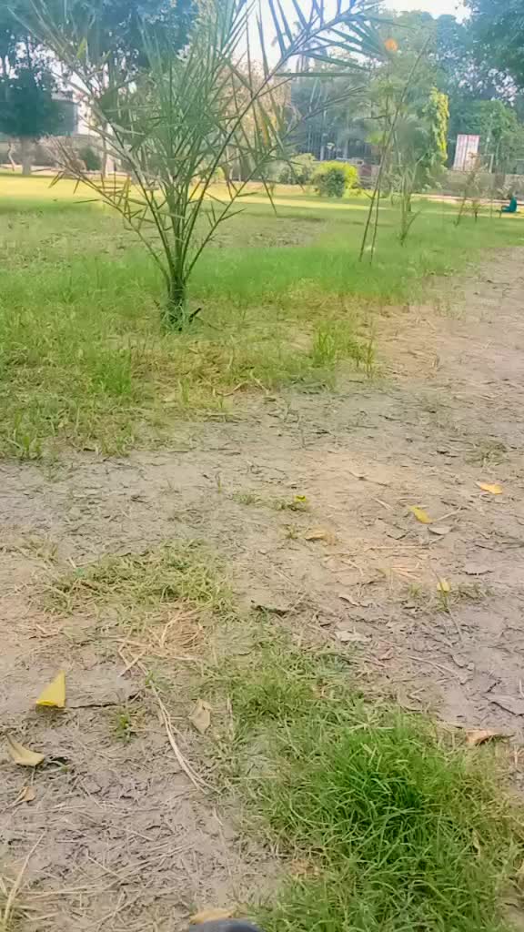 @Dark 🕶️🌑