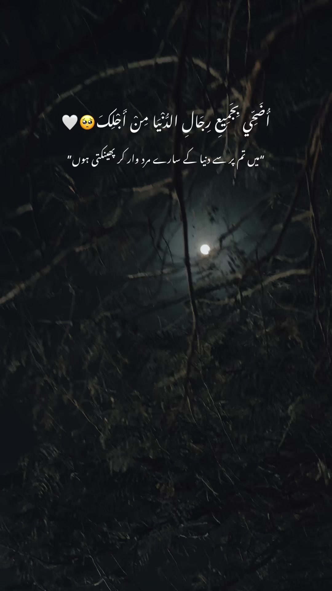 @ᗰOOᑎ𓆩🌙𓆪