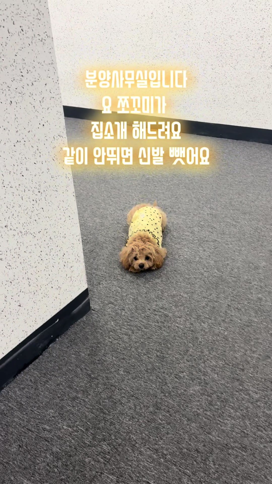 @집순이주택(010.9092.8756)