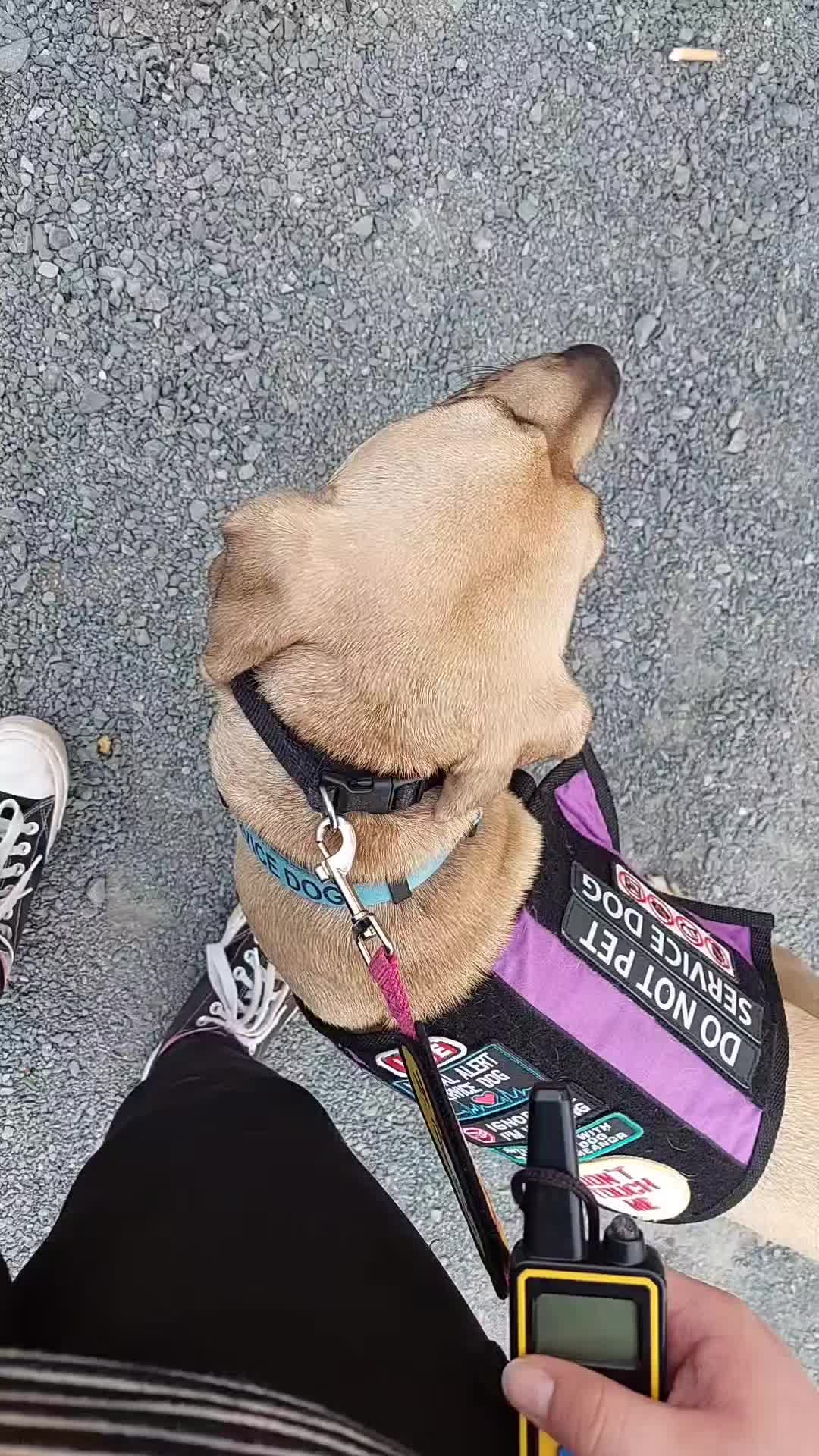 @🐕&zwj;🦺 Kat Johnson 🐾