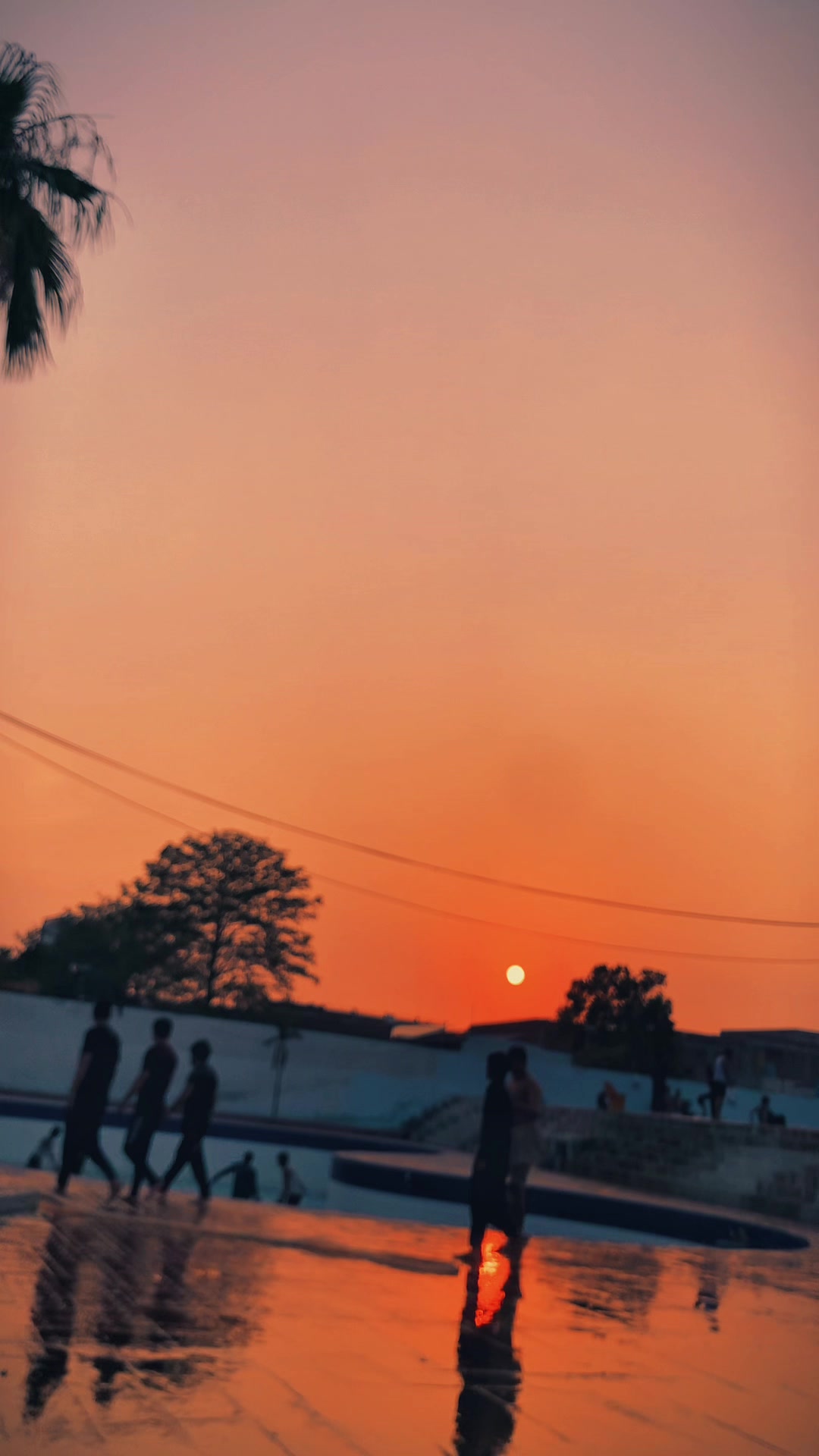 @پختانہ 🕊️❤️