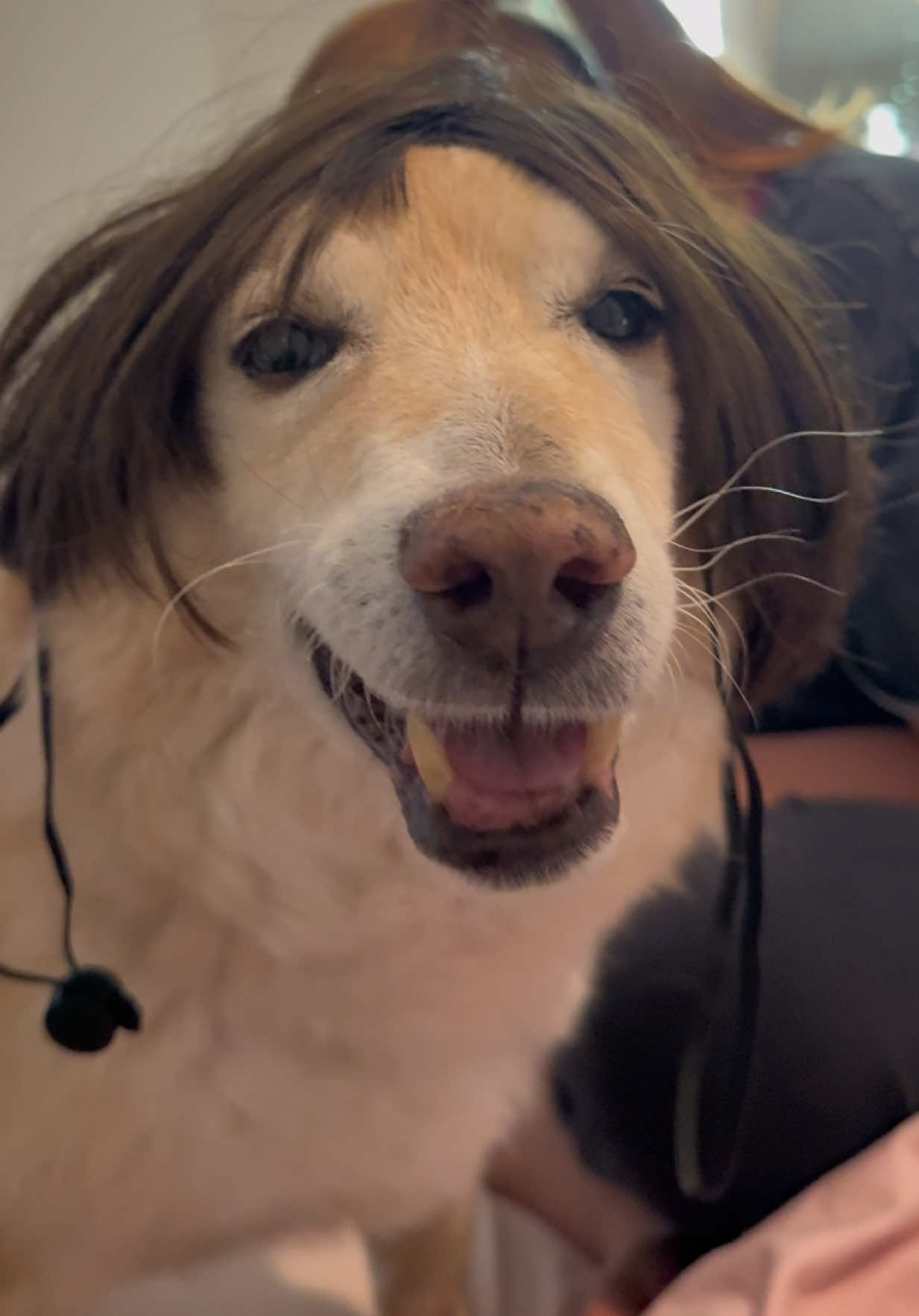 @Michelle