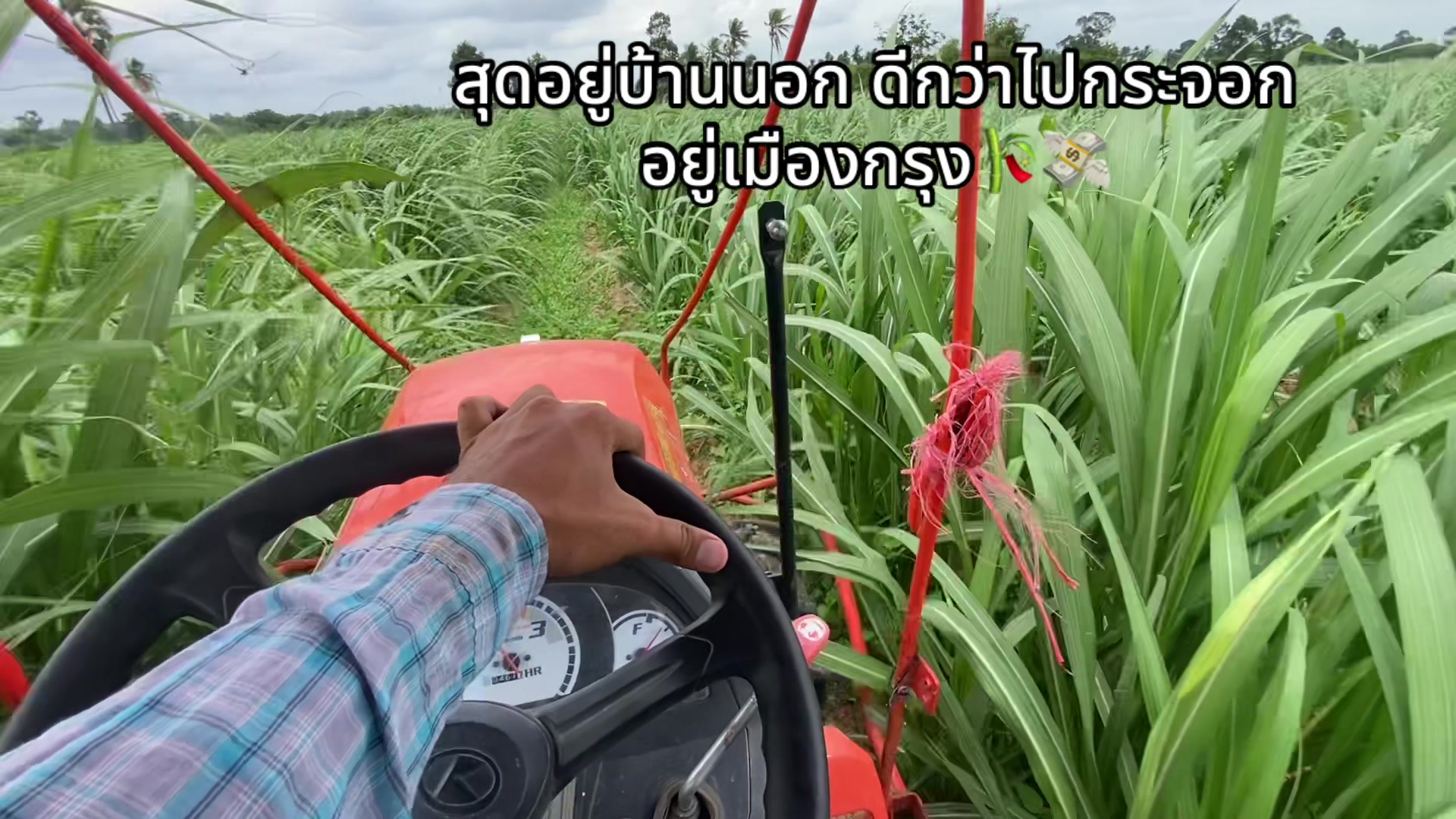 @เถ้าแก่น้อย🧑🏻🌾🫶🏻💨