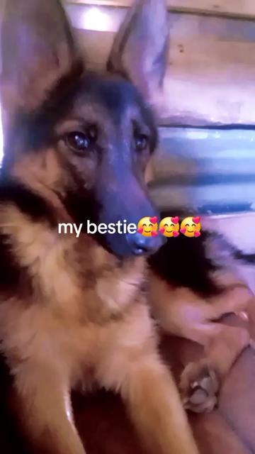 @beauty🥰🥰🥰