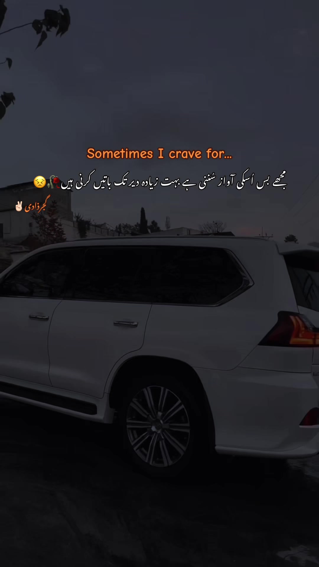 @گجرذادی✌🏻