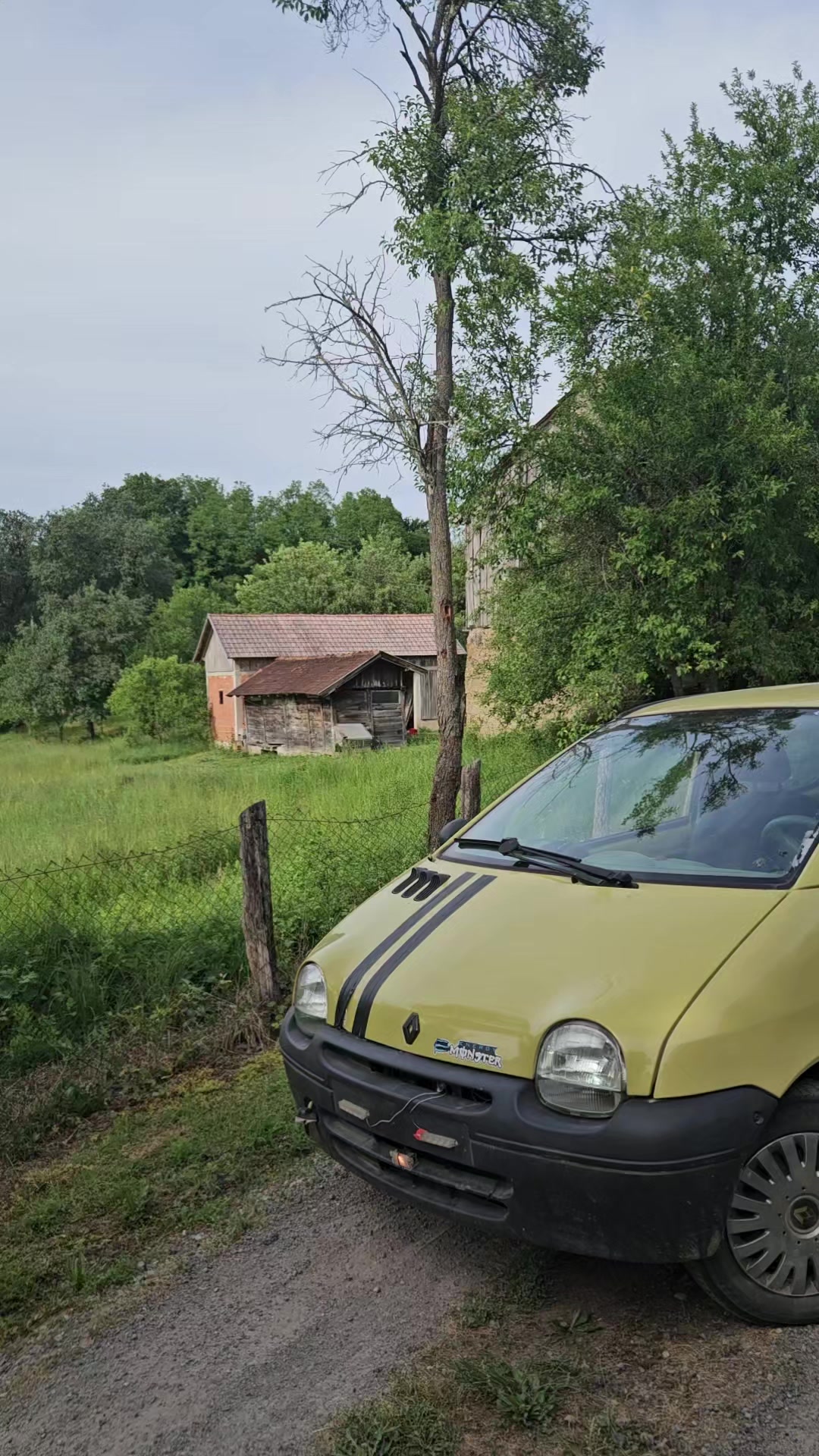 @Žuta Tica💛