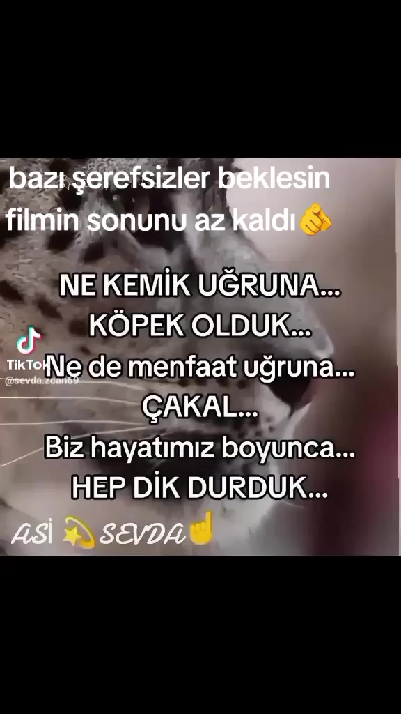 @erdaloguz331
