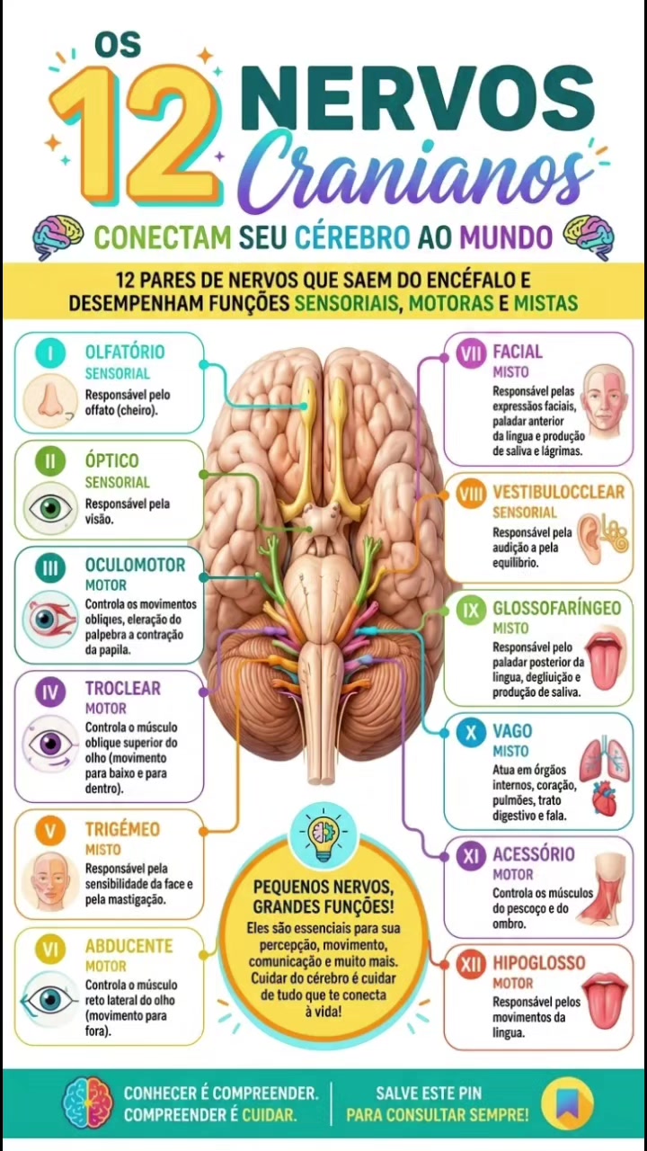 @PasseMed