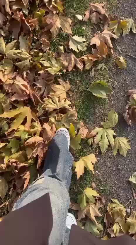 @🤍🐆