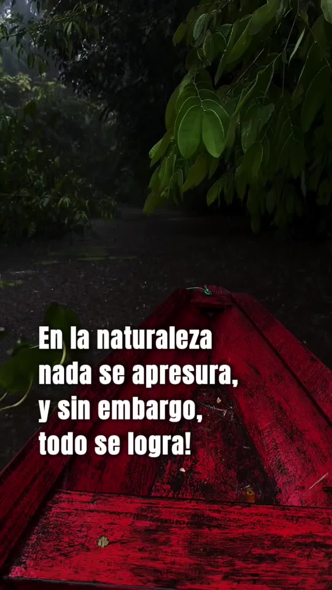@PODER NATIVO