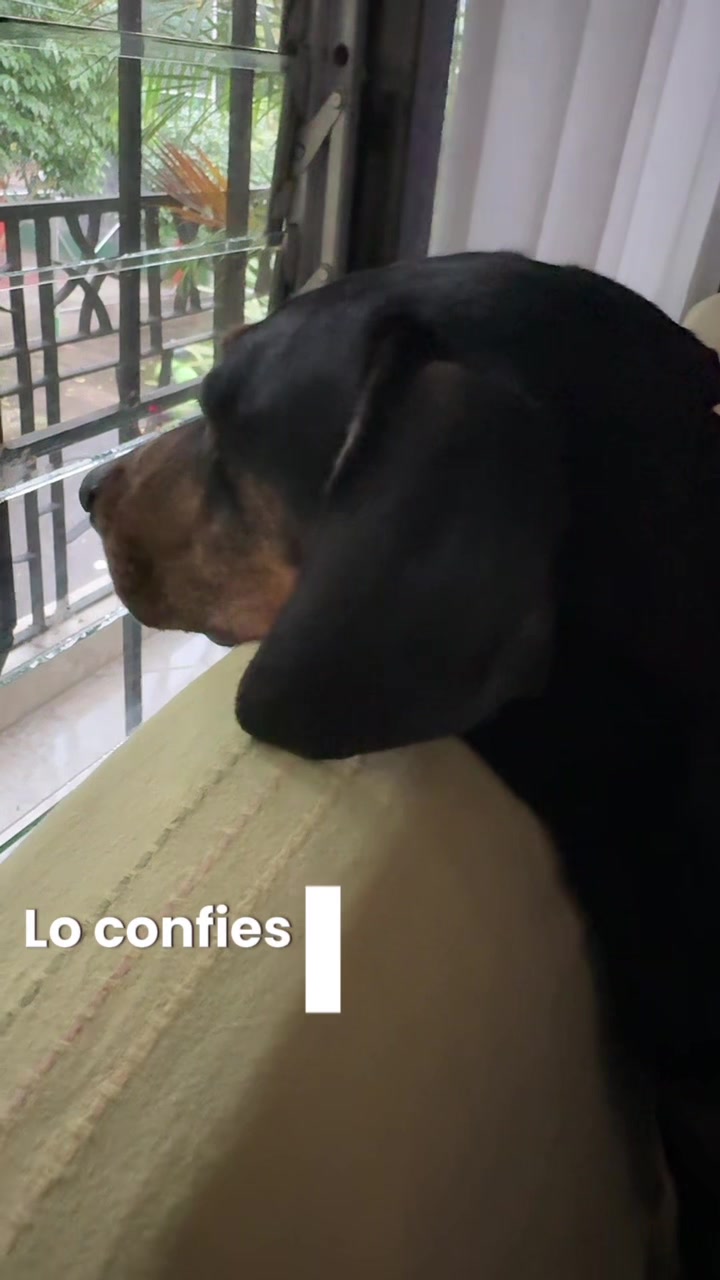 @lavida_unviaje
